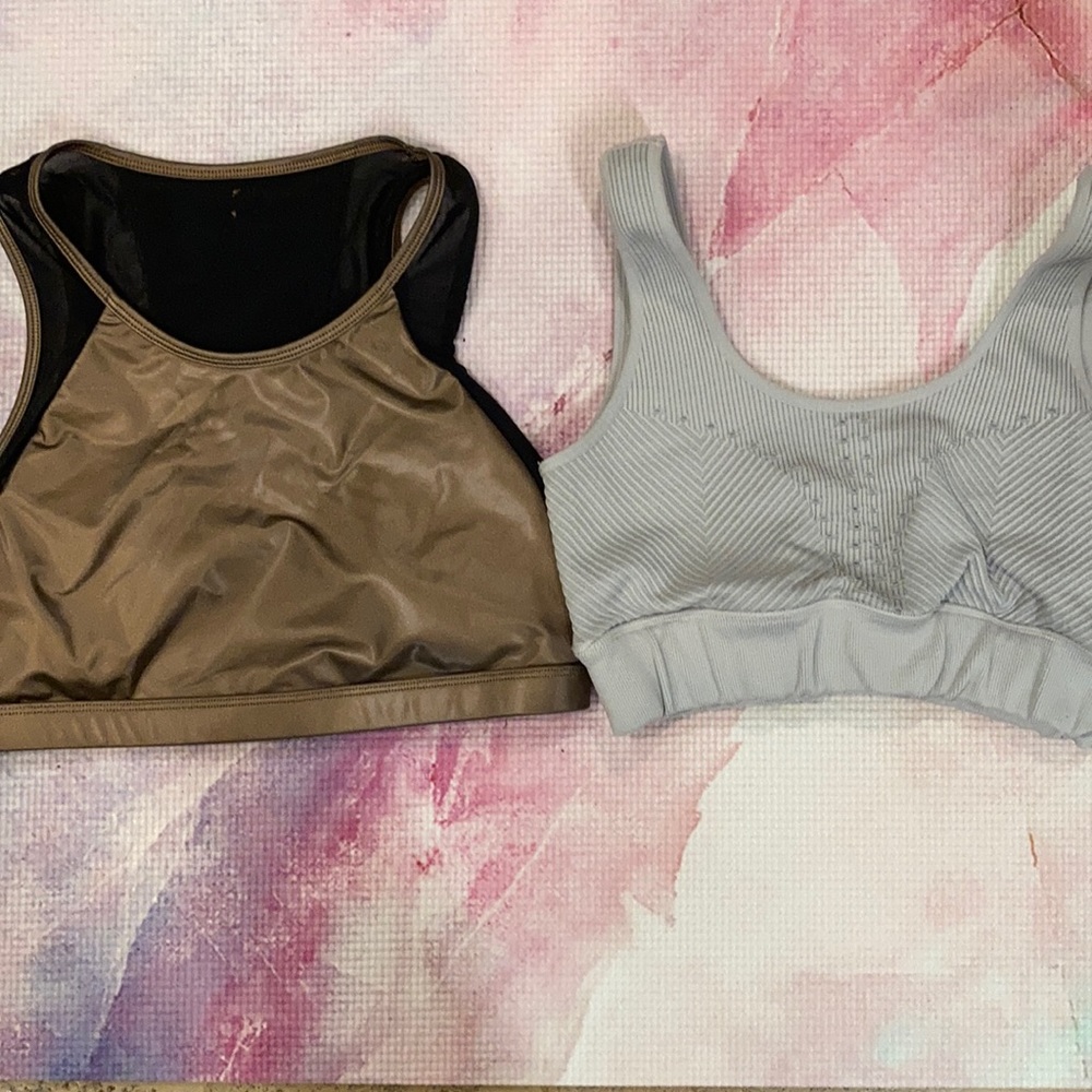 Lot Bundle 2 Fabletics Sports Bras